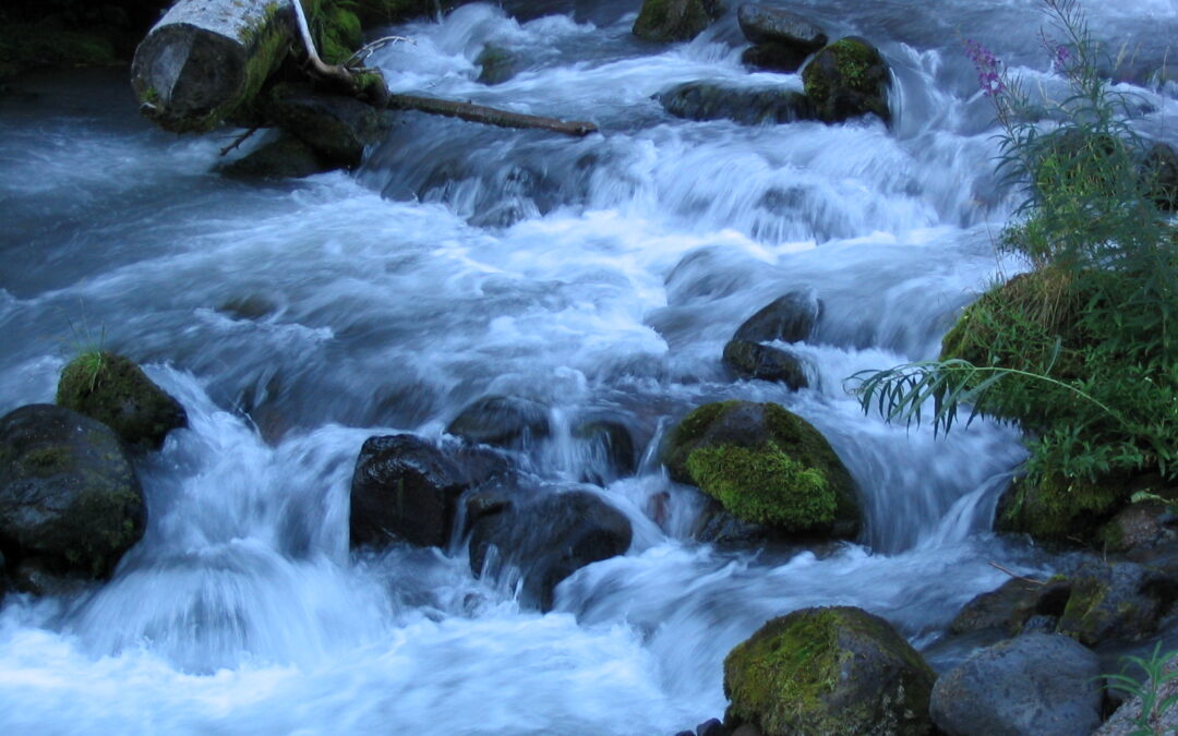 Flow yOUR Focus