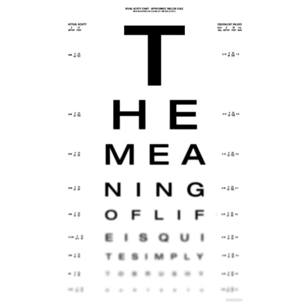 it IS WE whom determines the MEANING of ALL
