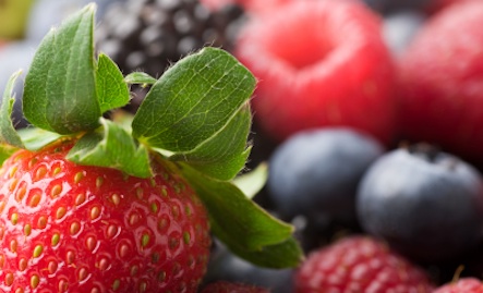 How To Do a Detox, by Dr. Frank Lipman