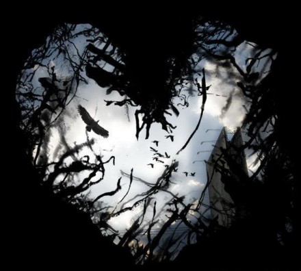 Focus yOUR attention on BEing LOVE