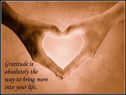 In Gratitude to YOU _()_
