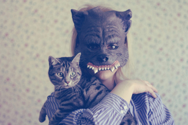 The Wolf or the Kitten who are YOU giving Voice to?