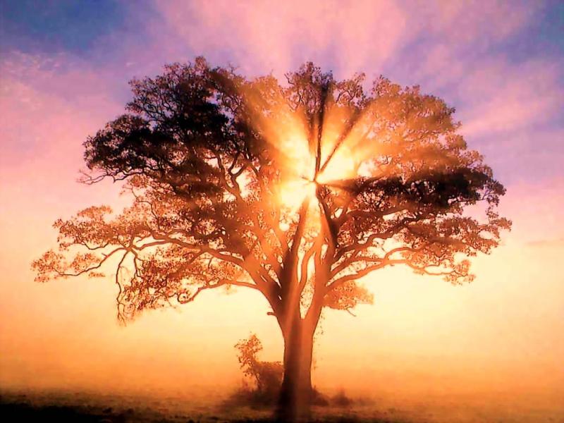 The Grace withIN