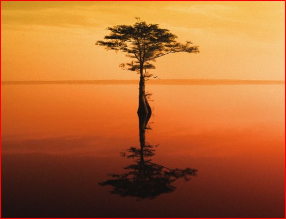 Facing Fears, Opportunities for Healing