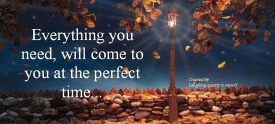 Pronoia
