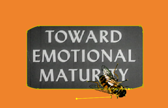 EIA; healing our collectively held deepest wounds